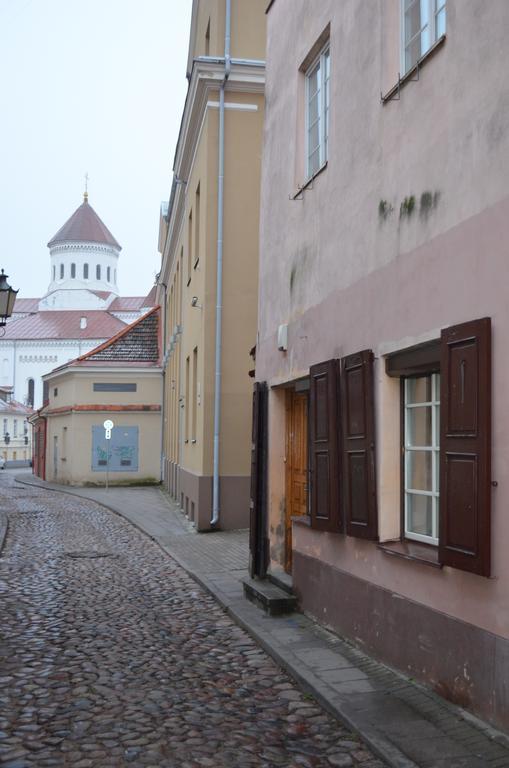 Sofijos Studio Old Town Apartment Vilnius Luaran gambar
